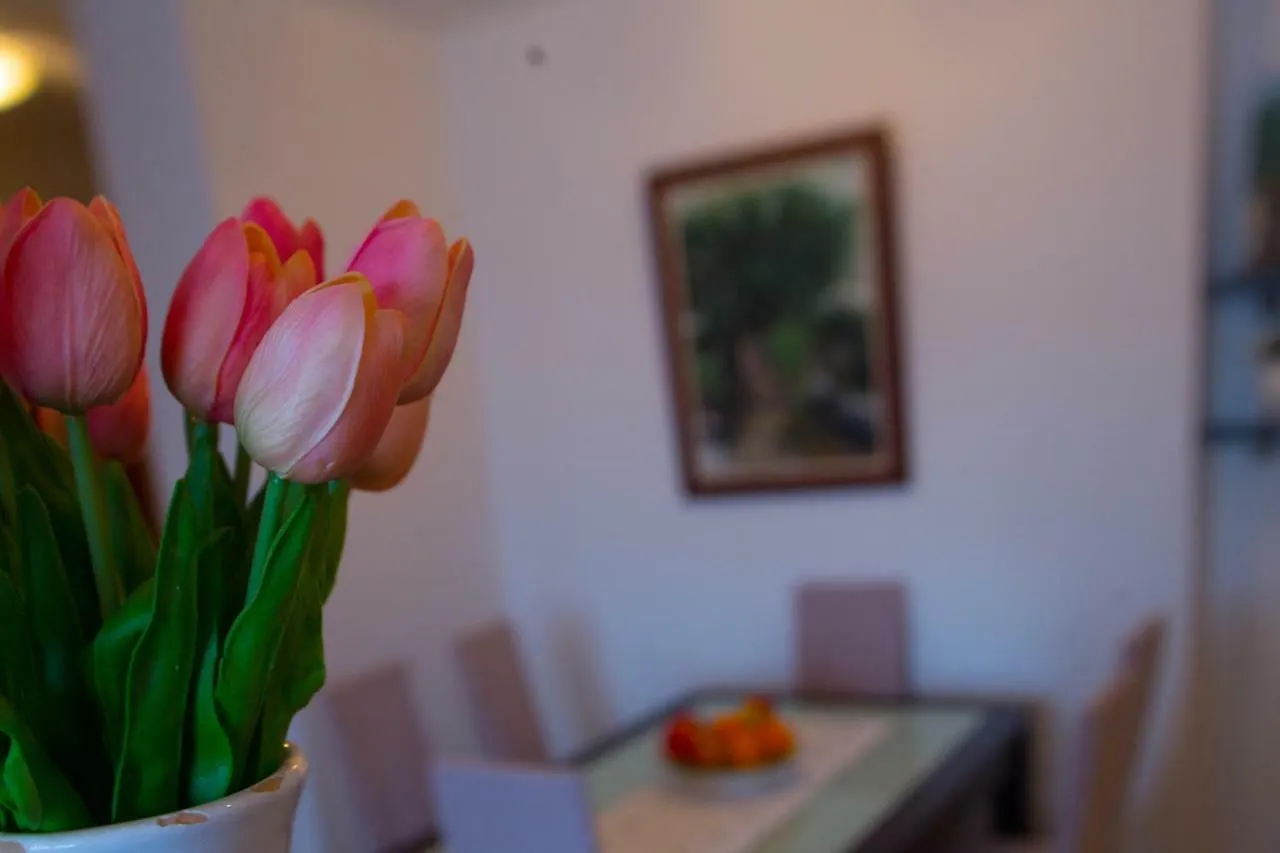 Apartmán Apartman Ivana Split Chorvatsko